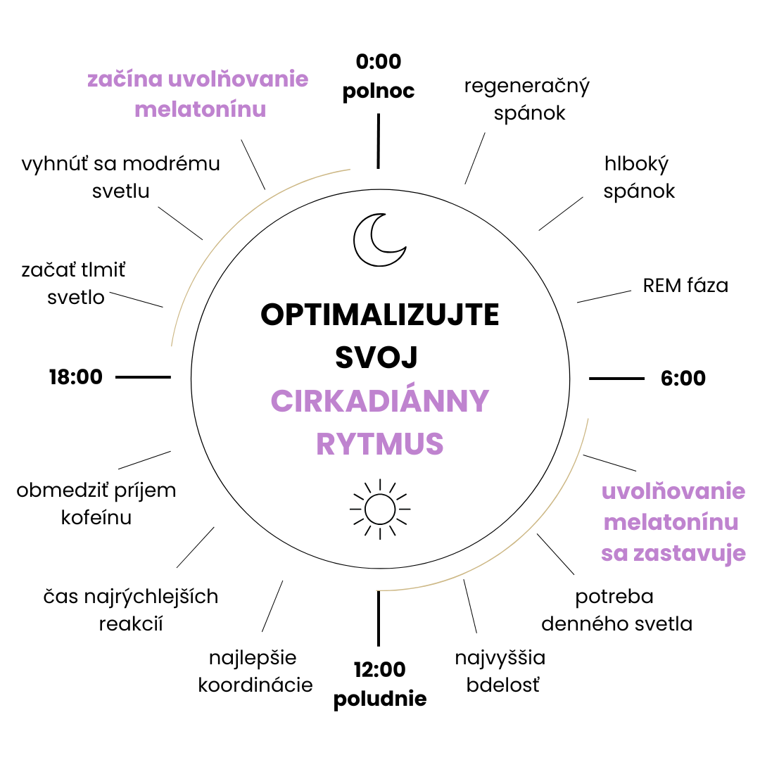 cirkadiánní rytmus